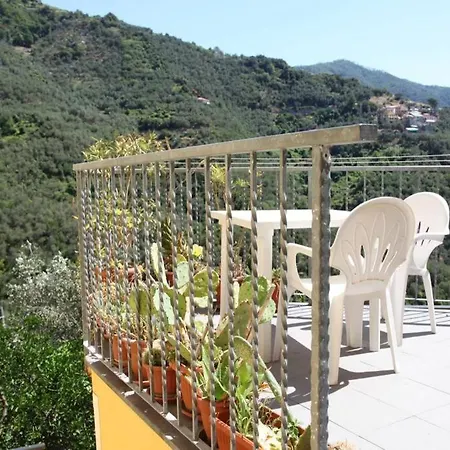 Le Della Lizza - Casa *